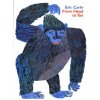 From Head to Toe Big Book (Eric Carle,Eric Carle)(Brožovaná)
