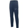 Tepláky Nike Dri-Fit Academy 25 Jr FZ9816 410