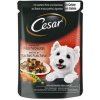 Mars CESAR kapsička dog jemné hovädzie so zeleninou 24 x 100 g