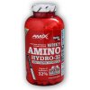 AMIX Amino hydro 32 250 tabliet