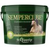 St. Hippolyt - SemperCube Veľkosť: 10 kg