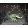 Extreme Origami