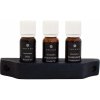 EMENDO Emendo esencia do sauny 3x10 ml v stojane