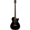 Fender CB-60SCE