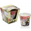 BARTEK Green Tea Matcha Latte, vonná sviečka 115 g
