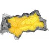 Nálepka 3D diera na stenu Žlté kvety na pozadí 95x73 cm