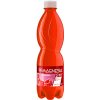 Magnesia RED malina 12 x 0,5 l