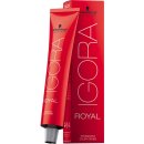 Schwarzkopf Igora Royal 9-7 extra svetlá blond medená 60 ml