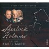 David Zane Mairowitz - Sherlock Holmes a případ Karel Marx
