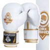 Boxerské rukavice DBX BUSHIDO DBD-B-2 14 oz