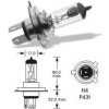 TESLight H4 P43t 12V 60/55W