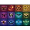 Puzzle Krásne okrídlené veci 1000 dielikov