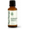 Plant Therapy Eucalyptus Globulus 30 ml