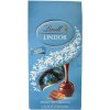 PRALINKY LINDT LINDOR SLANÝ KARAMEL 100 G
