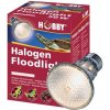Hobby Diamond Halogen Floodlight 35 W