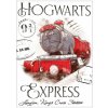 Carbotex Detský uterák Harry Potter Rokfortský Express 30 x 50 cm
