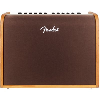 Fender Acoustic 100