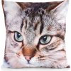 Takoy Velúrová Obliečka na vankúš ANIMAL zdobená potlačou roztomilej mačky-HF-464108 | 45 x 45 cm