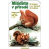 Mláďata v přírodě - Bouchner Miroslav, Pavel Procházka