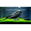 AQZ Eleocharis sp.”Mini” Rastliny: /in-Vitro LAB Ø 11 cm/