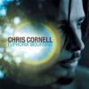 CORNELL CHRIS: EUPHORIA MOURNING 2015 LP