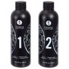 Shunga Massage Gel Strawberry & Champagne 2 x 250ml