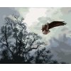 ZUTY Maľovanie podľa čísel - OROL V LETE A STROMY (D. RUSTY RUST) Rámovanie: vypnuté plátno na rám, Rozmer: 40x50 cm