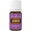 Young Living Grounding (Uzemnenie) zmes esenciálnych olejov 5 ml