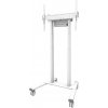 Neomounts FL55-875WH1/Držák displeje/vozík/37-100 /4 kolečka/VESA 800X600/nosn. 110kg/mot. nast.výšky/bílý