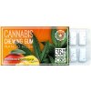 HaZe Cannabis Chewing Gum Mango 36mg CBD