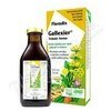 Salus Floradix Gallexier 250ml