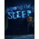 Among the Sleep