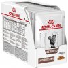 Royal Canin Cat Vet Diet Gastro Intestinal 12 x 85 g