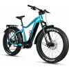 LEADER FOX Brasa 26