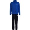 adidas Essentials Big Logo Track Suit Jr HR6408 (192023) Black 164cm