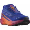 Salomon Aero Blaze 2 ISD M L47464600 - dragon fire/vivacious surf the web 46 2/3