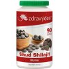 Zdravý den Shud Shilajit mumio 90 tablet