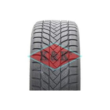 Landsail Winter Lander 195/65 R15 91T