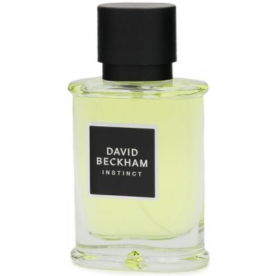 David Beckham Instinct parfumovaná voda pánska 50 ml