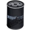 Hengst Filter H60WK01 Palivový filter