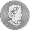Royal Canadian Mint strieborná minca minca Maple Leaf 2019 1 Oz