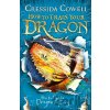How to Fight a Dragon's Fury - Cressida Cowell