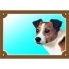Dafiko Ceduľka jack russel terier 1 ks (664-110920)