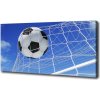 Foto obraz na plátne do obývačky Lopta v bramce 100x50 cm