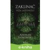 E-kniha Zaklínač VI.: Veža lastovičky - Andrzej Sapkowski, Brian Terrero (ilustrátor), Jakub Šimjak (ilustrátor)