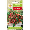 Koktailová paradajka Garden Perle semená 0,3 g Toraf