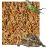 Tetra ReptoDelica Shrimps 250 ml