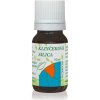Hanus Silica klinčeková 10 ml