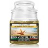 THD Vegetal Sun & Sand 100 g
