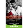E-kniha Rozcestí osudu - Emilly Ross